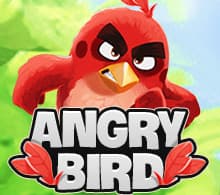 AngryBird